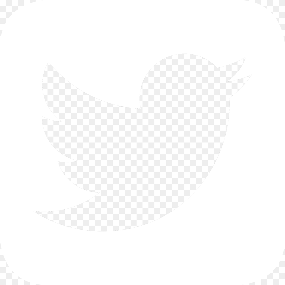 Facebook Icon Twitter Icon Twitter Logo White Box, Animal, Fish, Sea Life, Shark Free Png