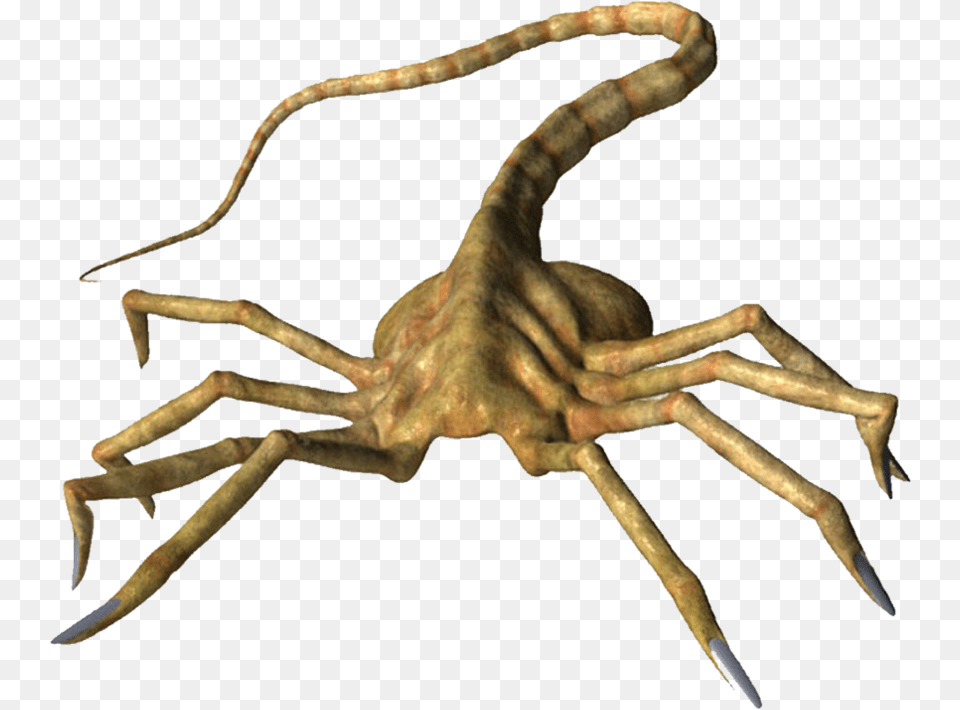Facebook Like Thumbs Up Facehugger Xnalara, Animal, Insect, Invertebrate, Electronics Free Png Download
