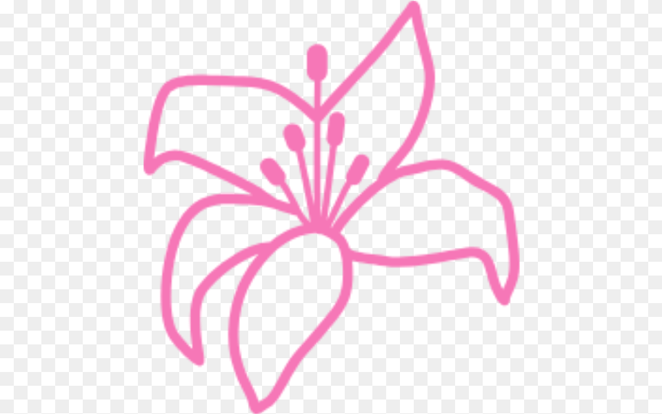 Facebook Twitter Instagram Youtube Lily Flower Pink Lily Flower Icon, Anther, Plant, Petal, Dynamite Free Png Download