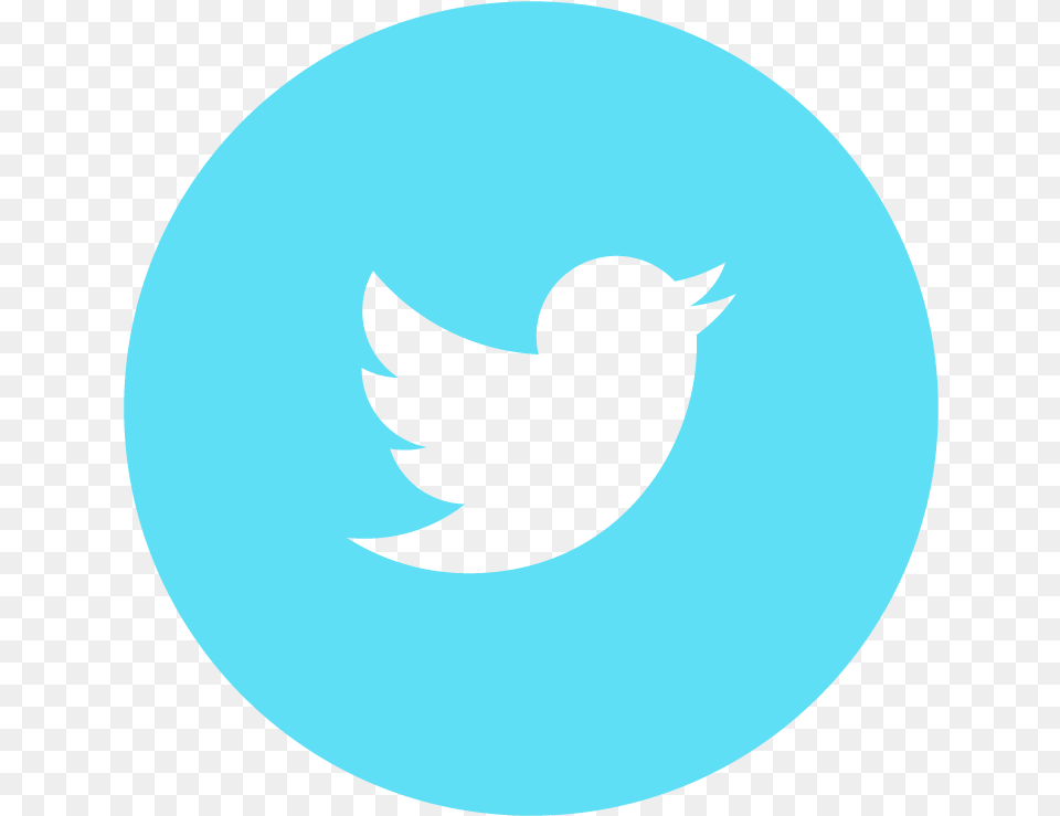 Facebook Twitter Snapchat Instagram Twitter Logo Icon Twitter Logo Blue, Animal, Bird, Blackbird Png Image