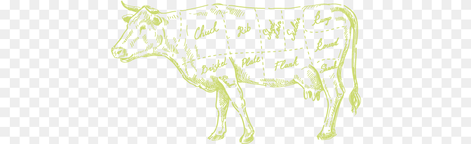 Facebook Working Animal, Cattle, Cow, Livestock, Mammal Free Png Download