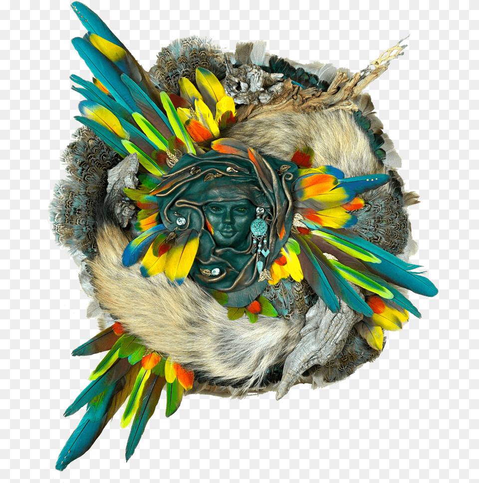 Faces Of Nature Headpiece, Animal, Bird, Face, Head Free Png