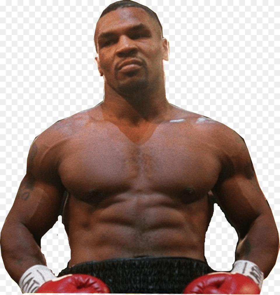 Facing Tyson Fifteen Fighters Fifteen Stories, Adult, Male, Man, Person Free Png Download