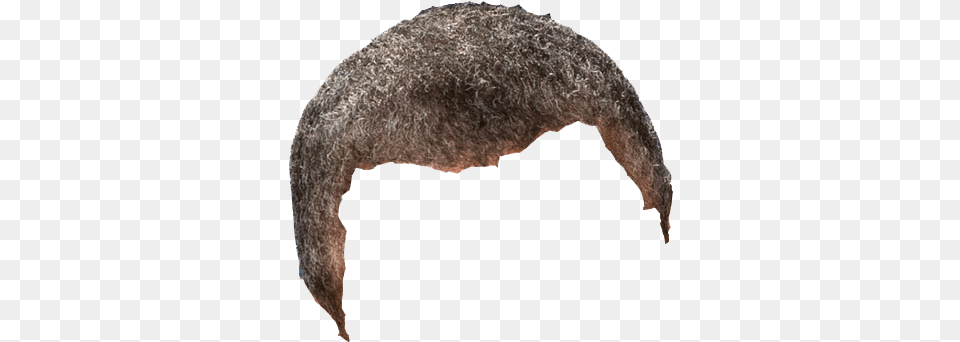 Fact Checking Obamau0027s Prediction That He Would Resemble Background Waves Hair, Animal, Mammal, Nature, Night Free Transparent Png