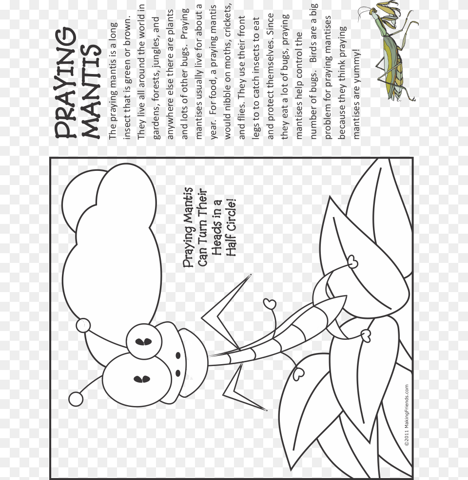 Fact Sheet About Praying Mantis For Kids, Book, Comics, Publication, Person Free Png