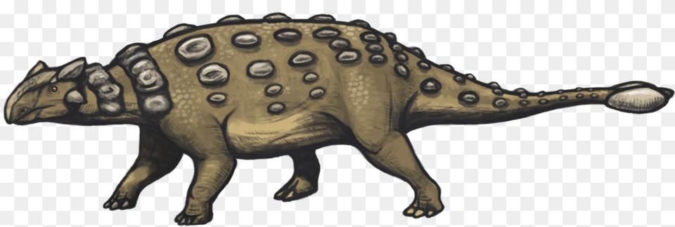 Facts About Ankylosaurus Ankylosaurus Tail, Animal, Dinosaur, Reptile Free Transparent Png