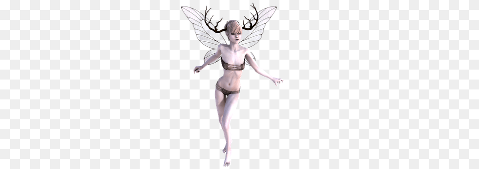 Fae Adult, Female, Person, Woman Free Png