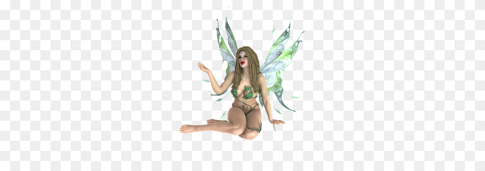 Fae Angel, Adult, Female, Person Png