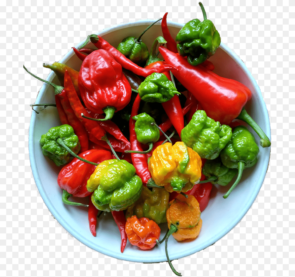 Fair Trade Habanero, Bell Pepper, Food, Pepper, Plant Free Transparent Png