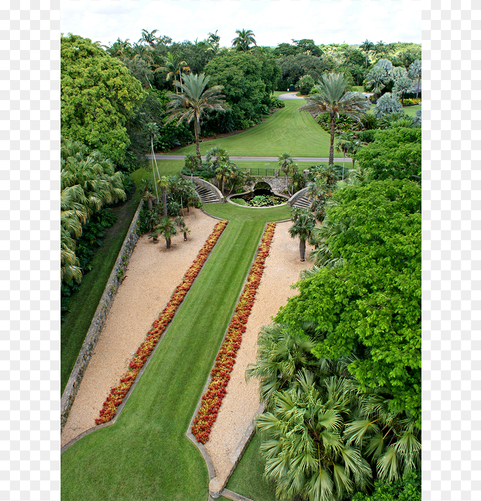 Fairchild Tropical Botanic Garden Coral Gables Fl Fairchild Tropical Botanic Garden, Plant, Park, Outdoors, Nature Free Png