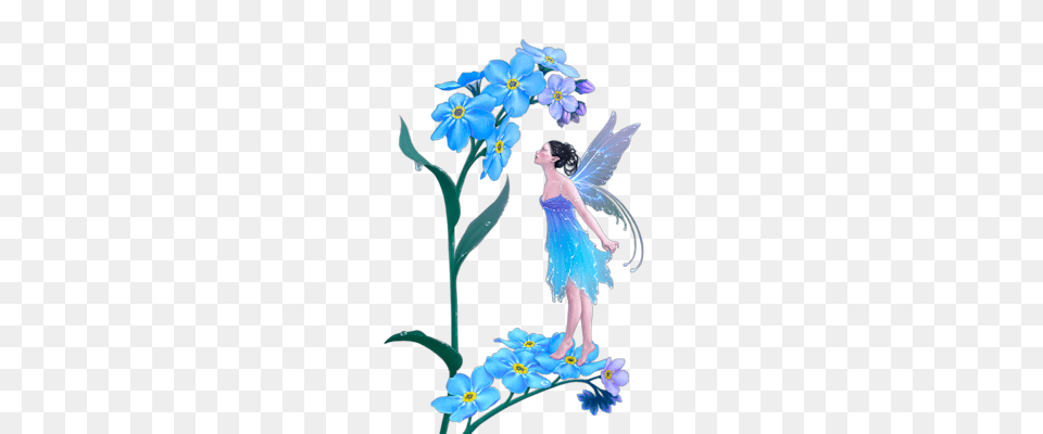 Fairy, Flower, Plant, Adult, Female Png