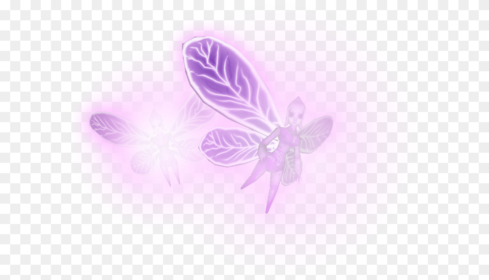 Fairy, Art, Purple, Graphics, Plant Free Transparent Png