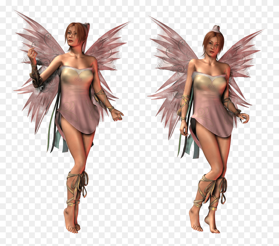 Fairy, Adult, Person, Woman, Female Free Transparent Png