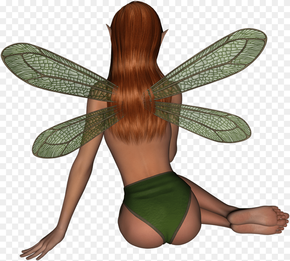 Fairy, Adult, Female, Person, Woman Png Image