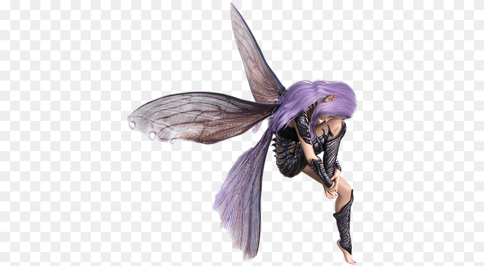 Fairy, Adult, Female, Person, Woman Png