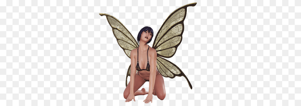 Fairy Adult, Female, Person, Woman Free Png