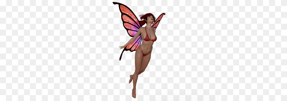 Fairy Adult, Dancing, Female, Leisure Activities Free Png Download
