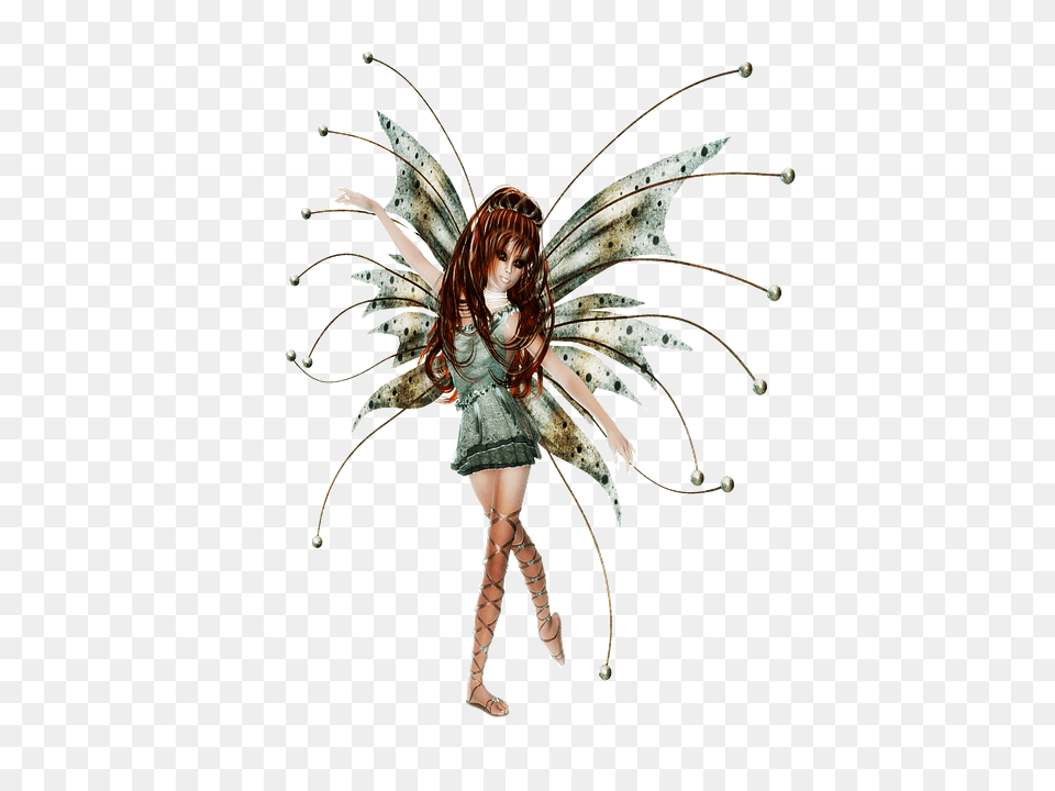 Fairy, Person, Accessories, Animal, Invertebrate Free Png