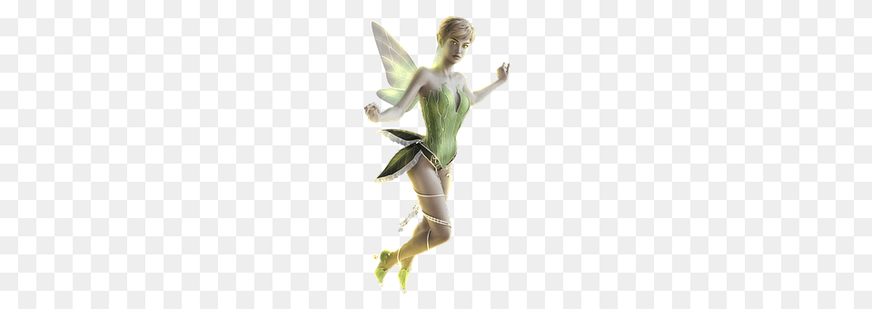 Fairy Clothing, Costume, Person, Adult Free Png Download