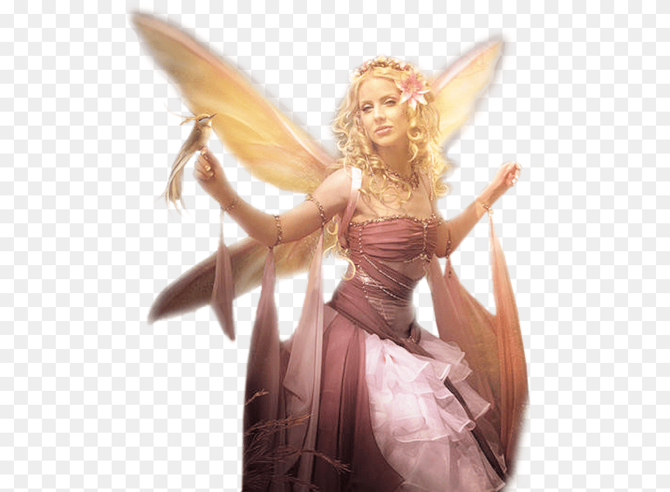 Fairy, Person, Clothing, Costume, Adult Free Transparent Png