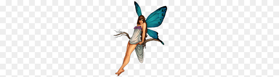 Fairy, Adult, Female, Person, Woman Png Image