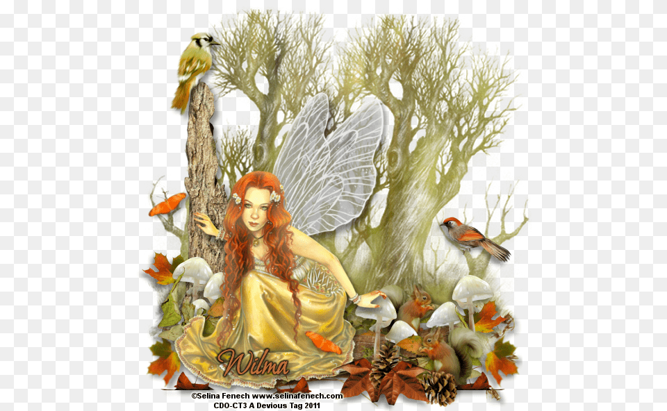 Fairy, Adult, Person, Female, Woman Png Image