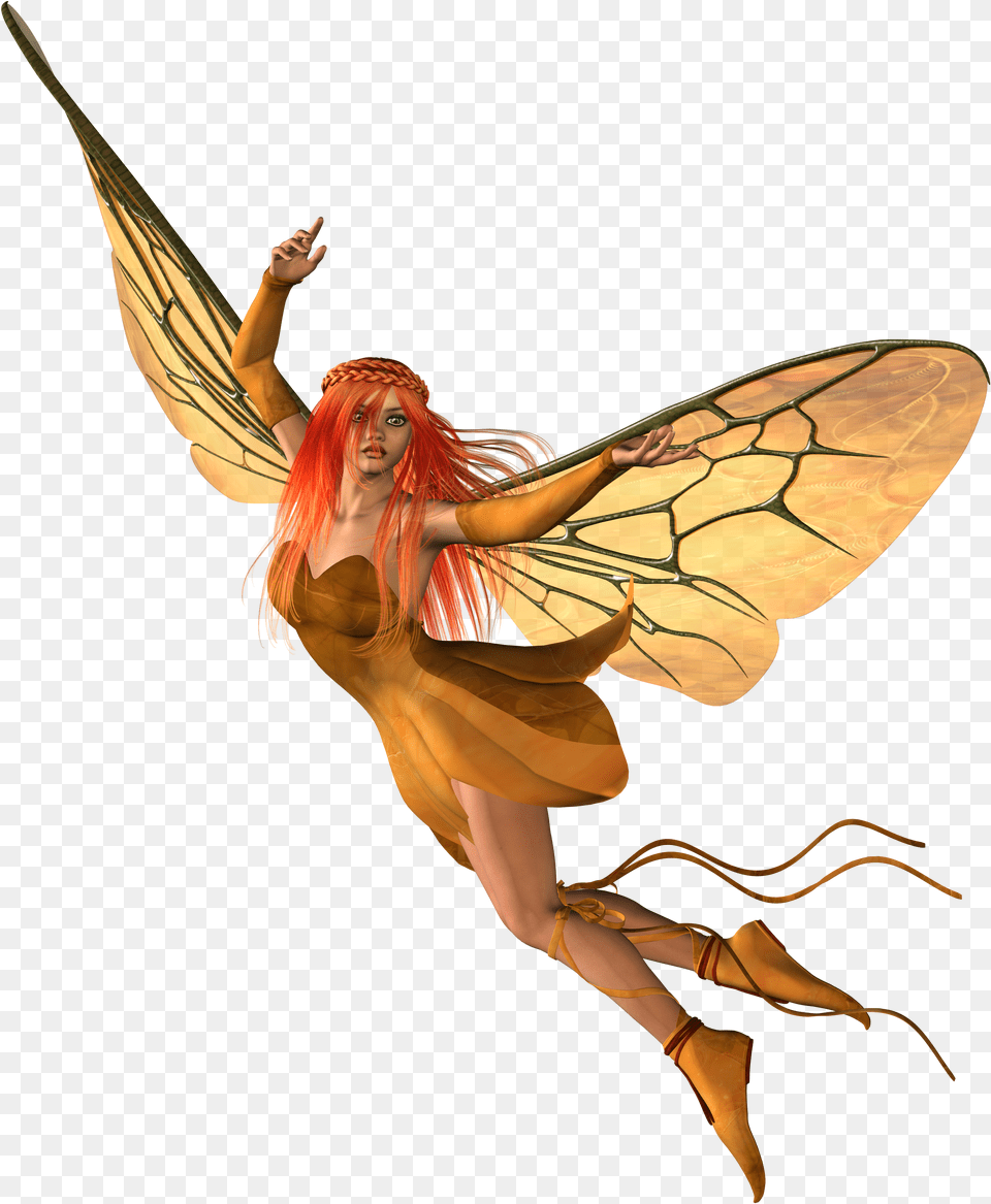 Fairy, Adult, Female, Person, Woman Free Transparent Png