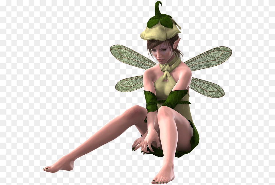 Fairy, Clothing, Costume, Person, Adult Png Image