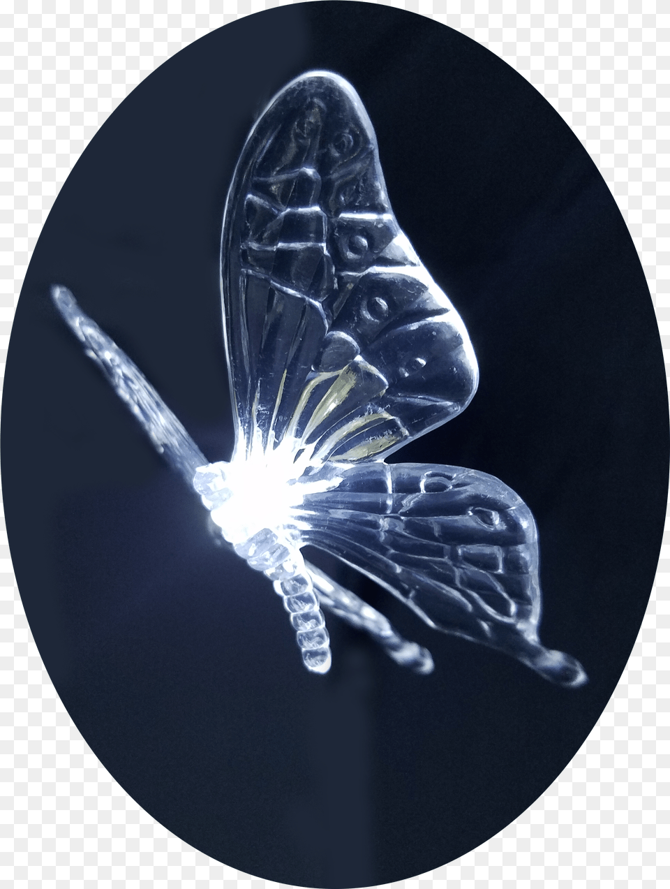 Fairy Butterfly 12 X White Colour Led String Lights Insect, Adult, Person, Woman, Female Free Transparent Png