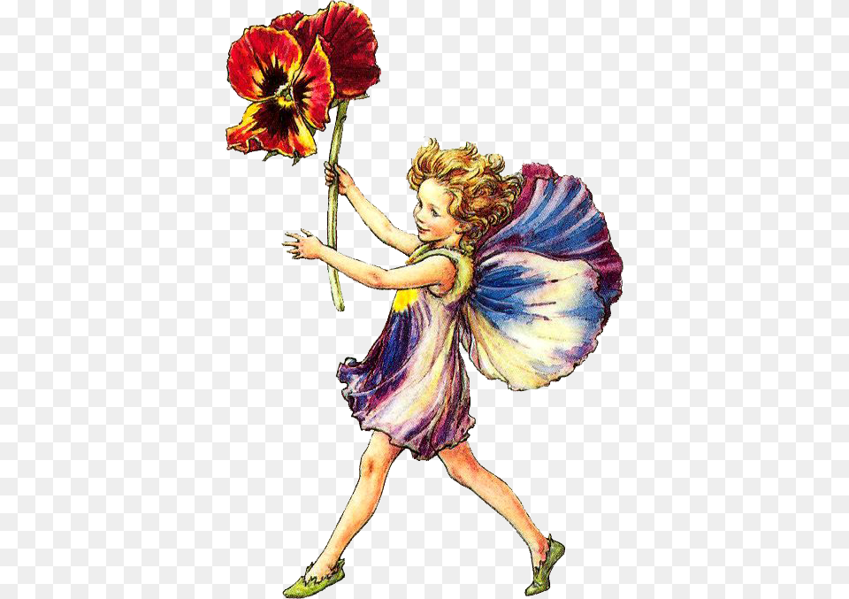 Fairy Clipart Flower Fairy Alphabet A By Cicely Mary Barker, Adult, Female, Person, Woman Png