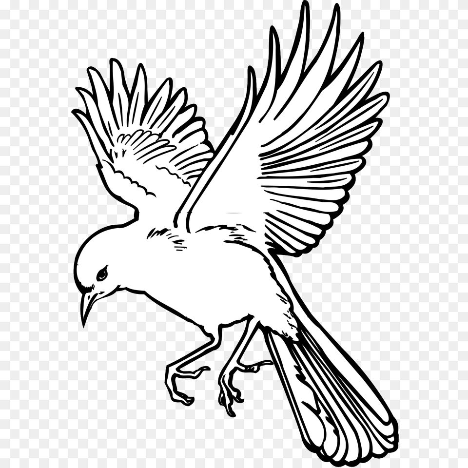 Fairy Flying Drawings Of Birds, Stencil, Person, Animal, Bird Png Image
