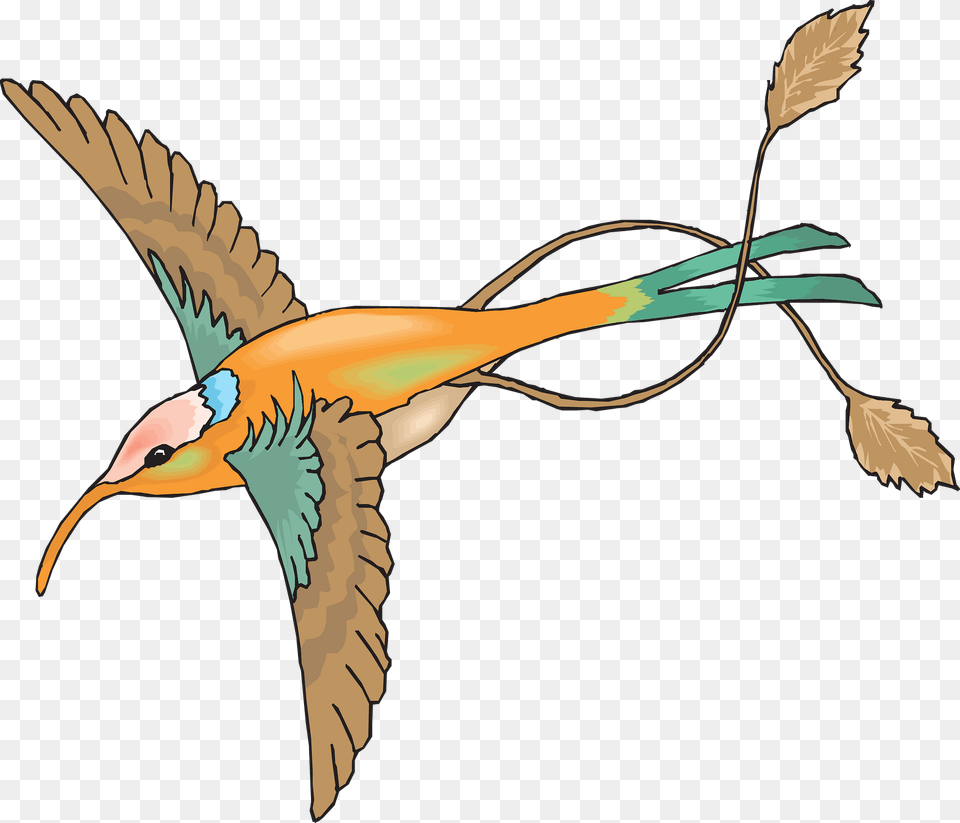 Fairy Hummingbird Clipart, Animal, Bee Eater, Bird, Beak Png Image