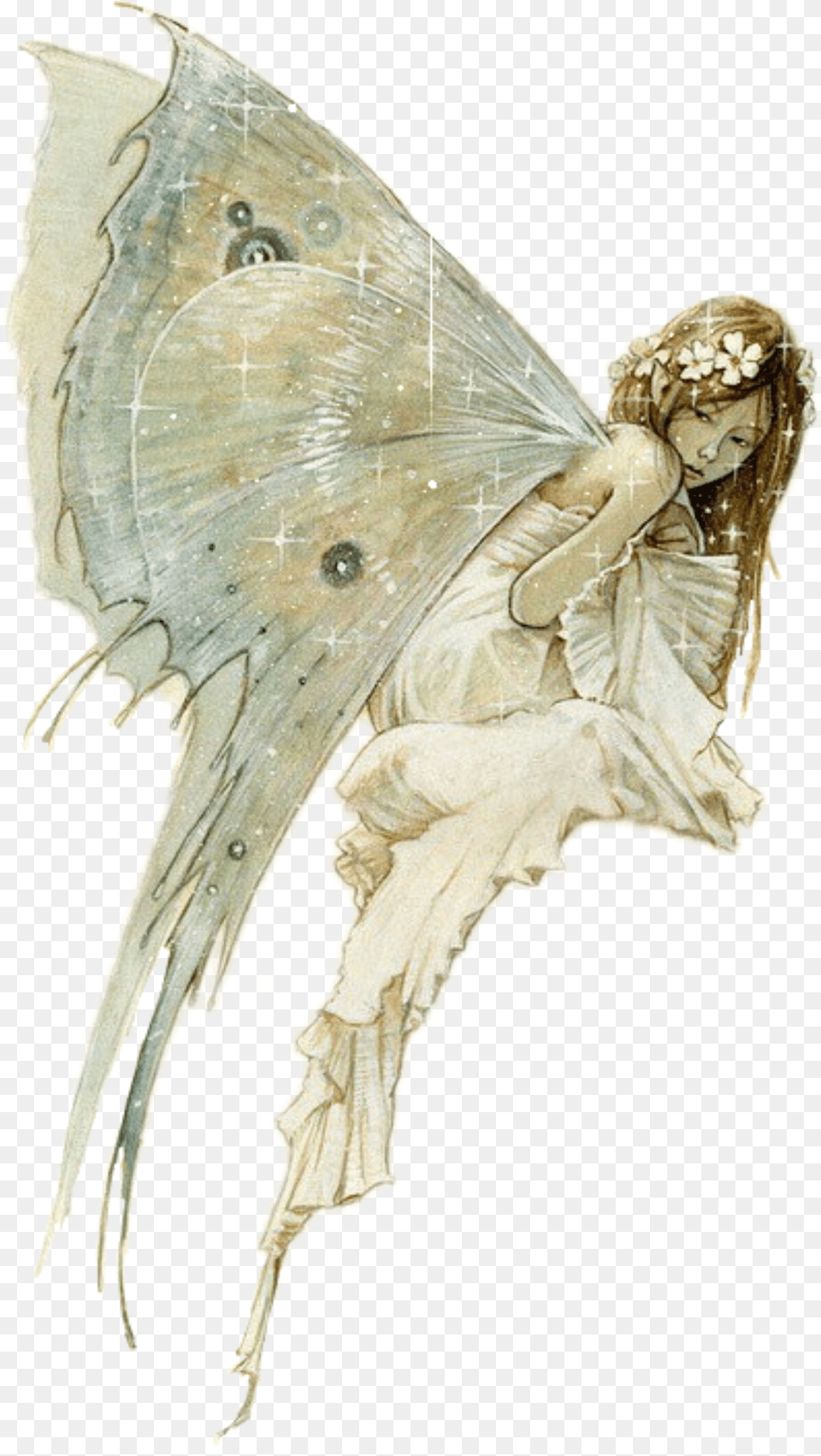 Fairy Sketch Brian Froud Fairy Png