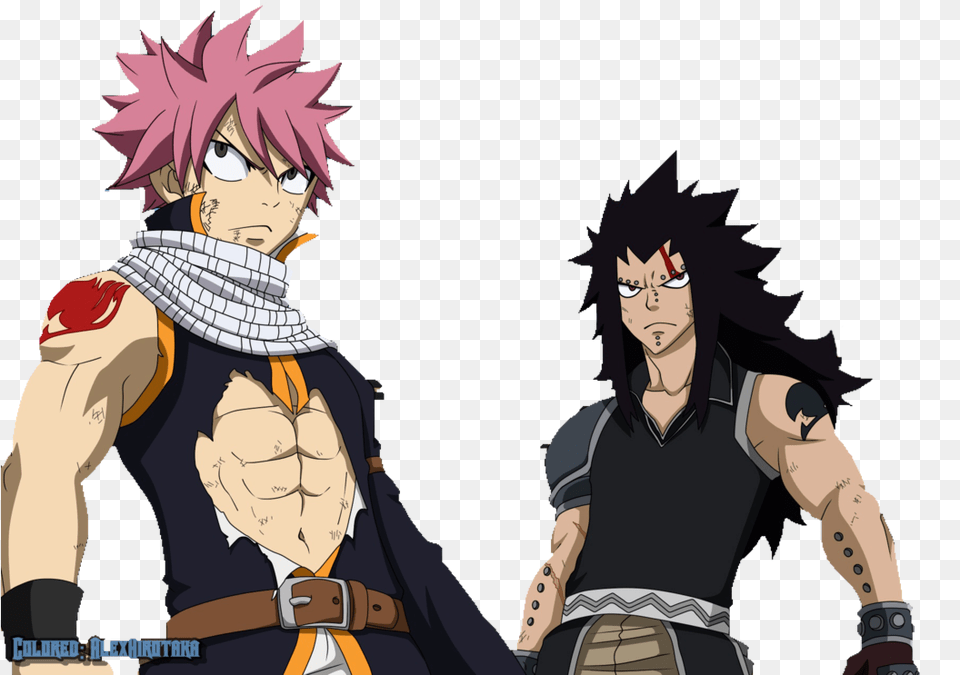 Fairy Tail 2 Gajeel, Publication, Book, Comics, Person Free Png