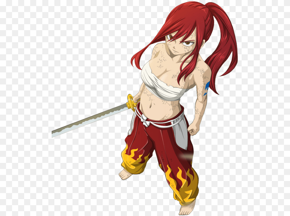 Fairy Tail Erza, Publication, Book, Comics, Adult Free Png Download