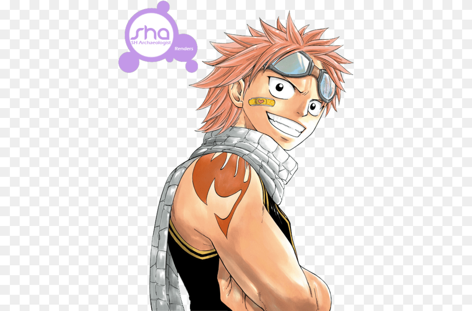 Fairy Tail Natsu, Book, Comics, Publication, Adult Free Png Download