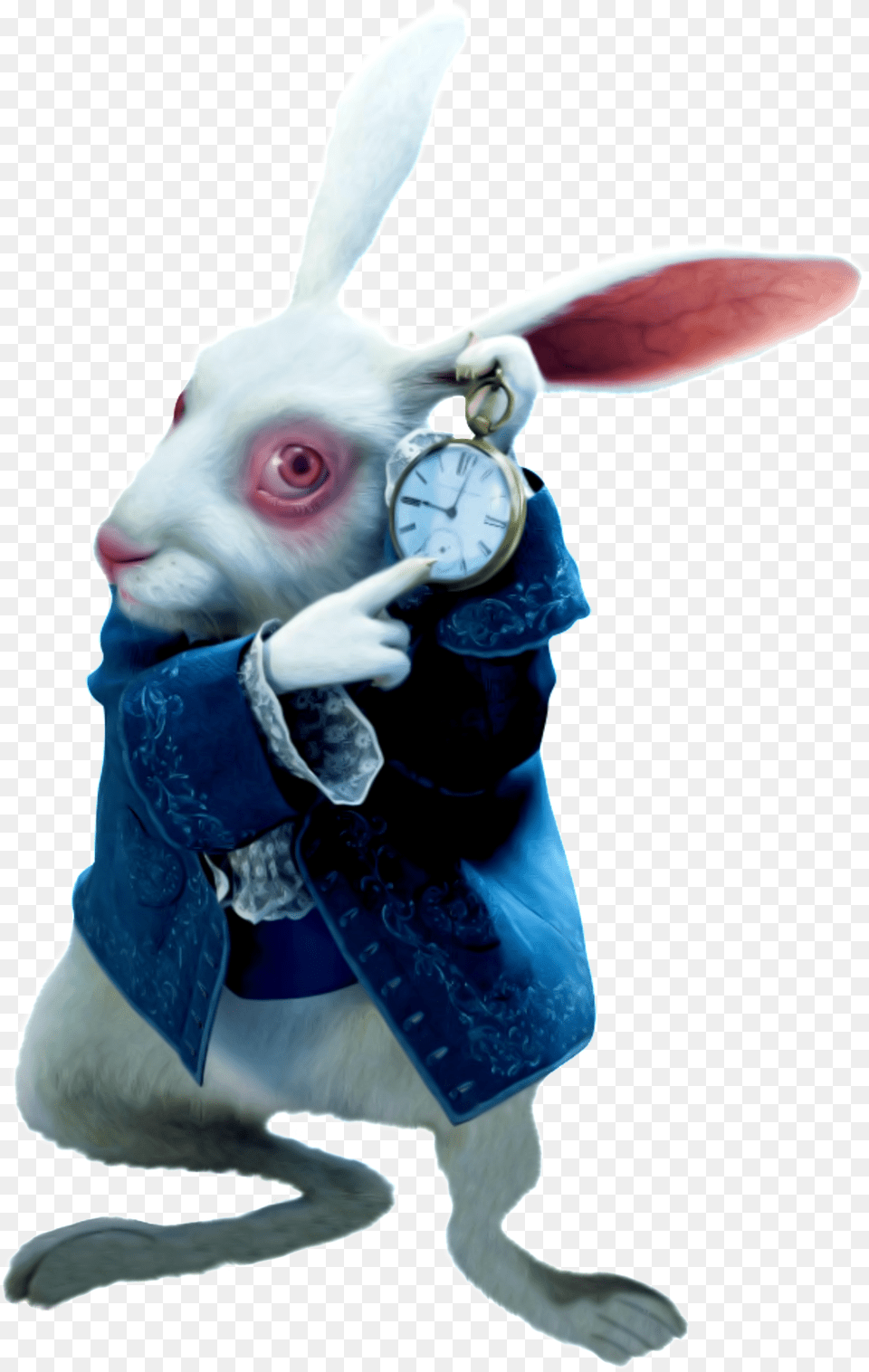 Fairy Tale Clock Rabbit Pattern Image Alice In Wonderland Movie White Rabbit, Animal, Mammal, Baby, Person Png