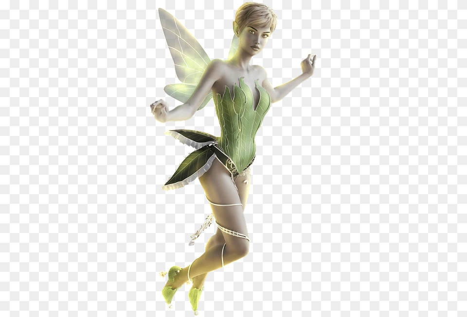 Fairy Transparent Background Fairy Transparent, Adult, Person, Female, Woman Png