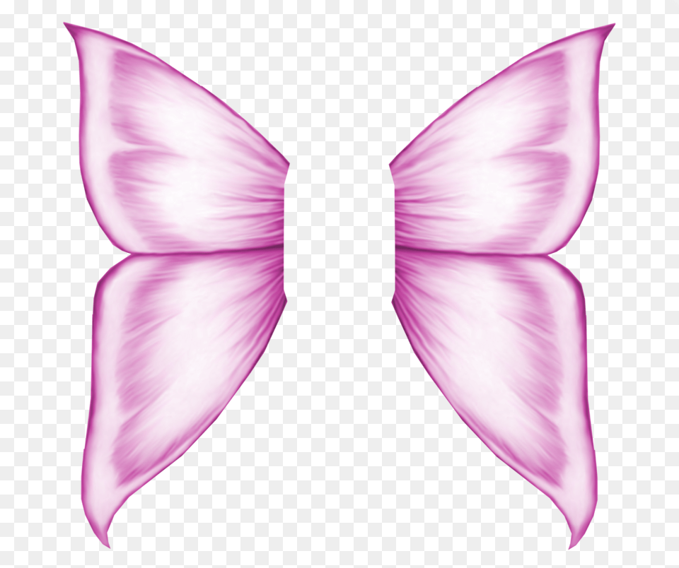 Fairy Wing 5 Butterfly Wings Pink, Accessories, Flower, Formal Wear, Petal Png