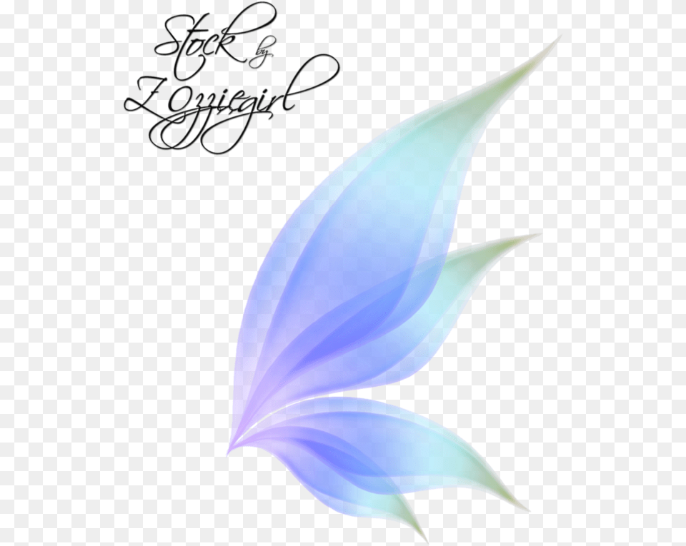 Fairy Wing By Zozziegirl D89x02m Transparent Background Fairy Wings, Graphics, Plant, Art, Petal Png Image