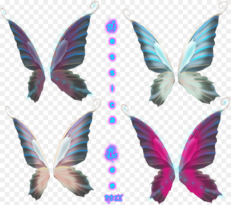 Fairy Wing Vector, Accessories, Animal, Bird Png