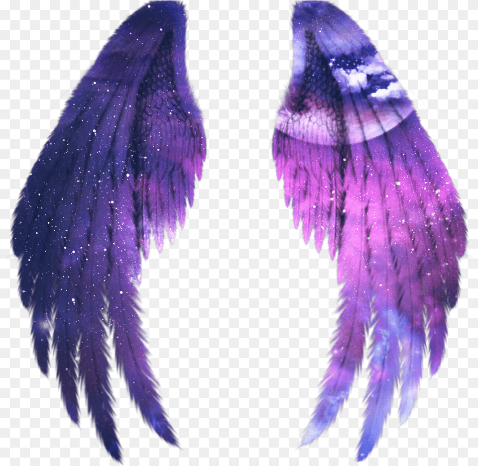 Fairy Wing Wings Galaxy Alas Fairy Gold Angel Angel Wings In Picsart, Purple, Accessories Png Image