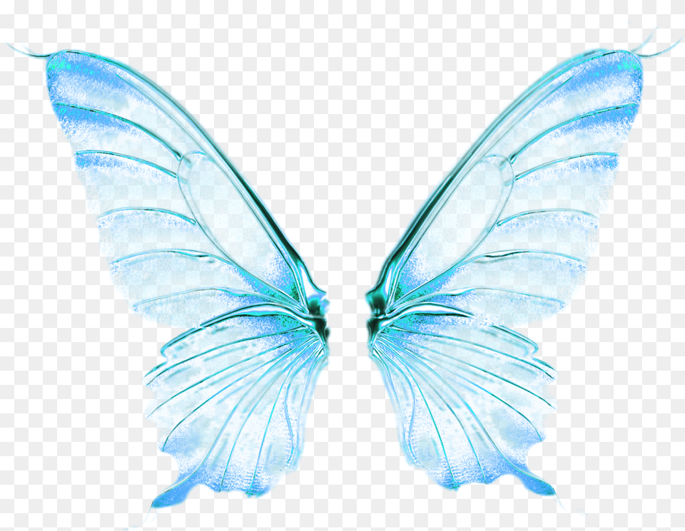 Fairy Wings 0 14c891 59efcec6 Orig Wings Angel Butterfly, Plant, Animal, Insect, Invertebrate Free Png