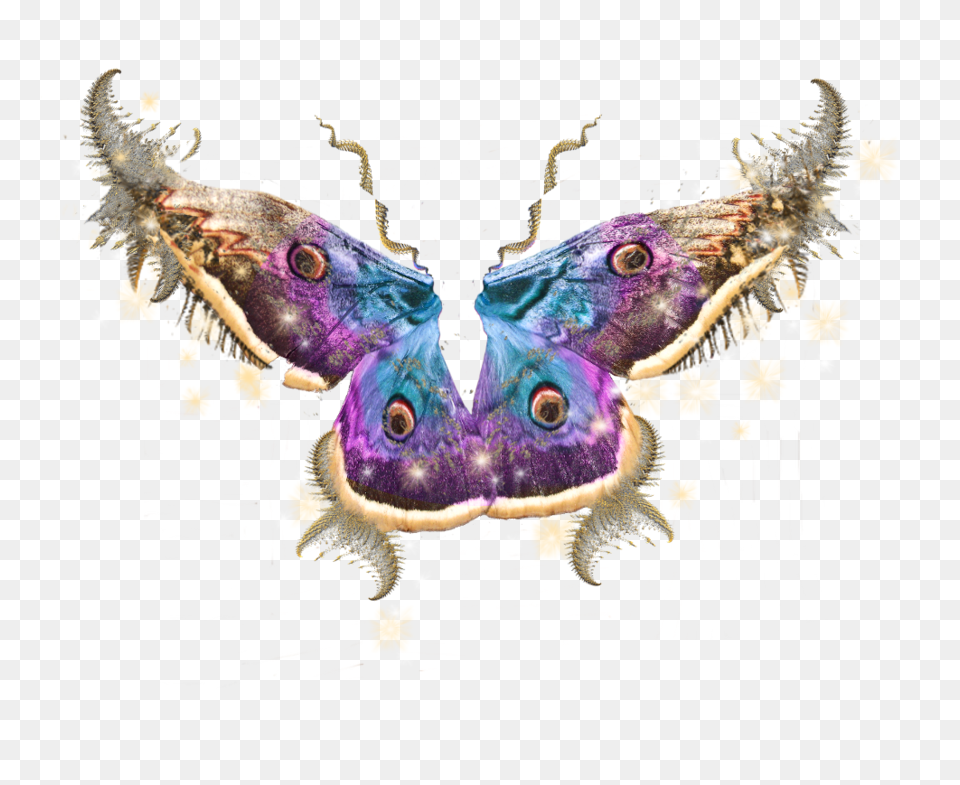 Fairy Wings, Animal, Butterfly, Insect, Invertebrate Png Image
