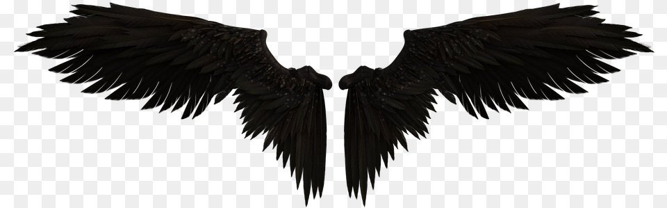 Fairy Wings, Animal, Bird, Vulture, Flying Free Png