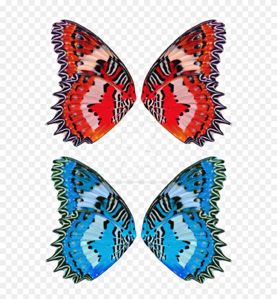Fairy Wings, Animal, Butterfly, Insect, Invertebrate Png