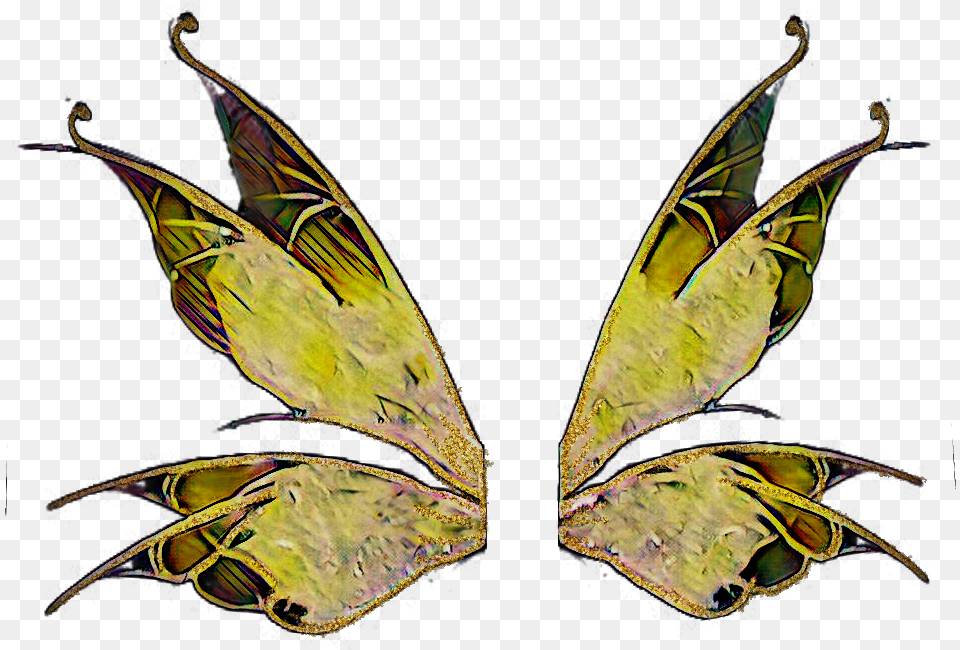 Fairy Wings Fantasy Fairytale Butterfly, Accessories, Jewelry, Plant, Algae Png