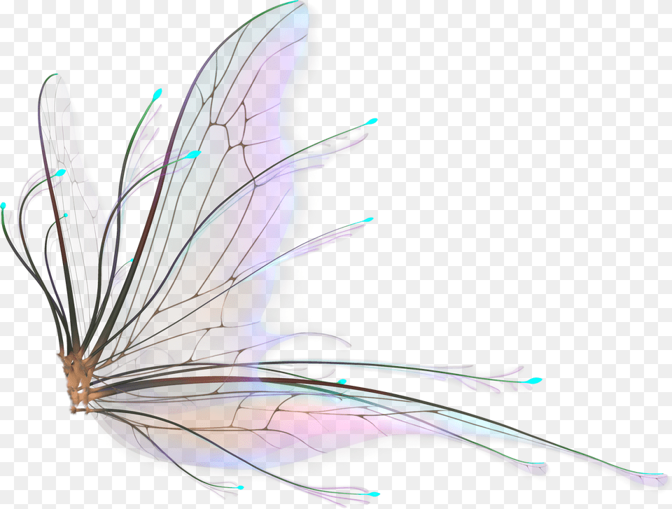 Fairy Wings Hd, Pattern, Art, Graphics, Accessories Free Png