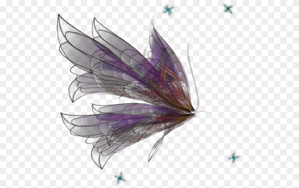 Fairy Wings Side View Vector Freeuse Realistic Fairy Wings, Pattern, Animal, Insect, Invertebrate Png