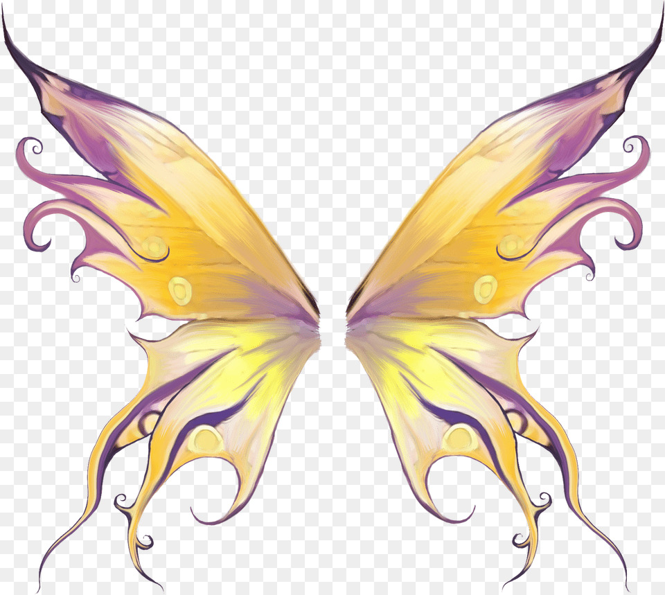 Fairy Wings Source Asa De Fada, Purple, Accessories, Art, Graphics Free Png